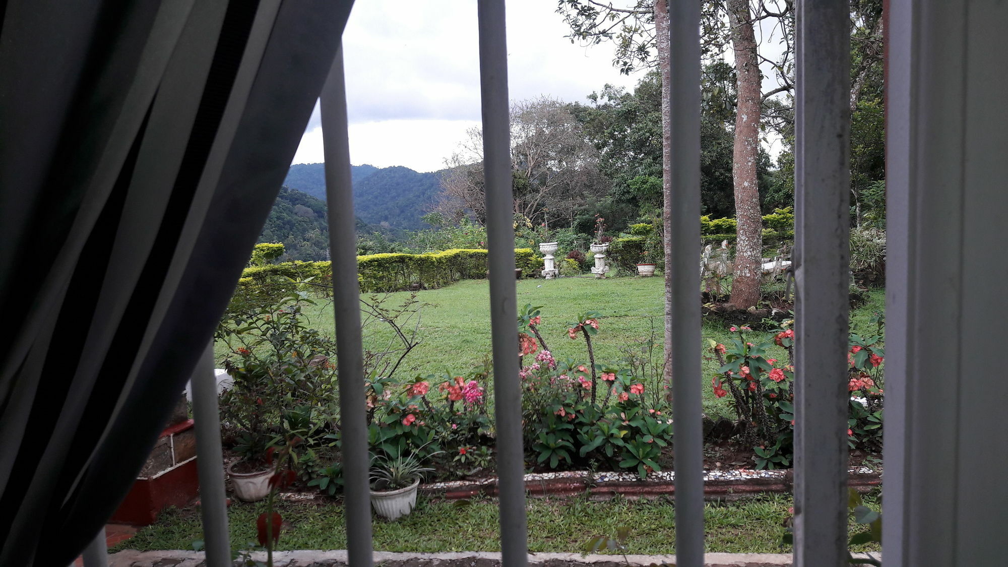 Oyo 441 Kandy Hill Bungalow Ngoại thất bức ảnh